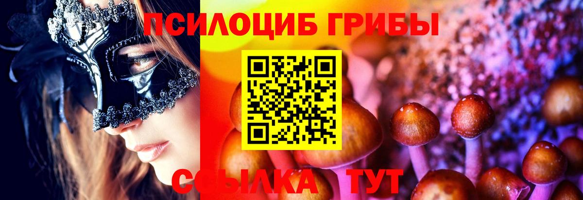Псилоцибиновые грибы прущие грибы Россия