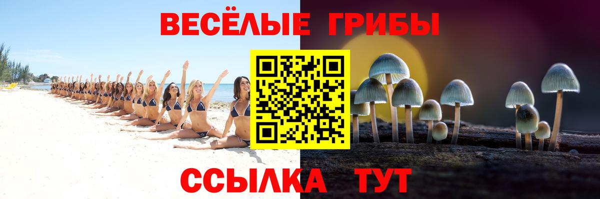 Россия  сколько стоит  Вход с VPN  Псилоцибиновые грибы GOLDEN TEACHER 